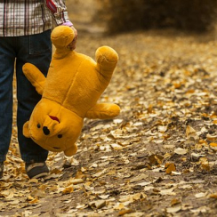 The Basic Adoption Process in Indiana